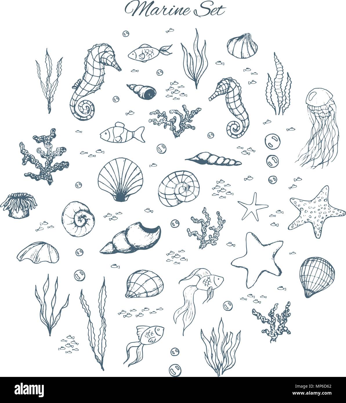 Hand drawn vector set marine avec des hippocampes, des coquillages, des étoiles, algues, poissons, coraux et des bulles. Les créatures de la mer aperçu sur le fond blanc au croquis Illustration de Vecteur