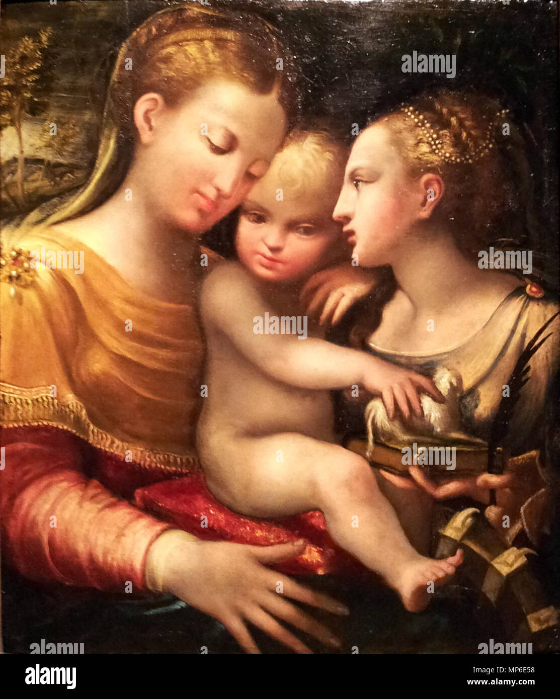 . Anglais : Parmigianino (disciple), Vierge à l'enfant et Saint Catharine, ca 1550 (Musée de Bonnefanten, Maastricht) . 10 septembre 2014, 12:23:22. Kleon3 961 navolger (Parmigianino), Madonna a rencontré Genre en H Catharina, ca 1550 (Bonnefantenmuseum, Maastricht) Banque D'Images