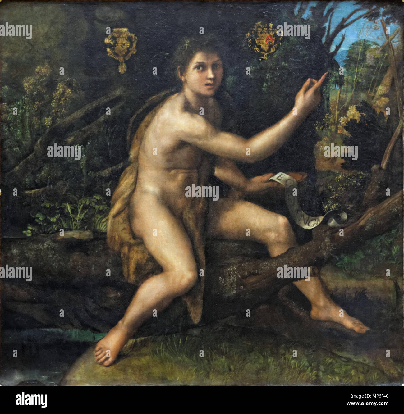 1084 Saint Jean-Baptiste au désert, Raphaël (Louvre INV 606) 01 Banque D'Images 1084 Saint Jean-Baptiste au désert, Raphaël (Louvre INV 606) 01 Banque D'Images