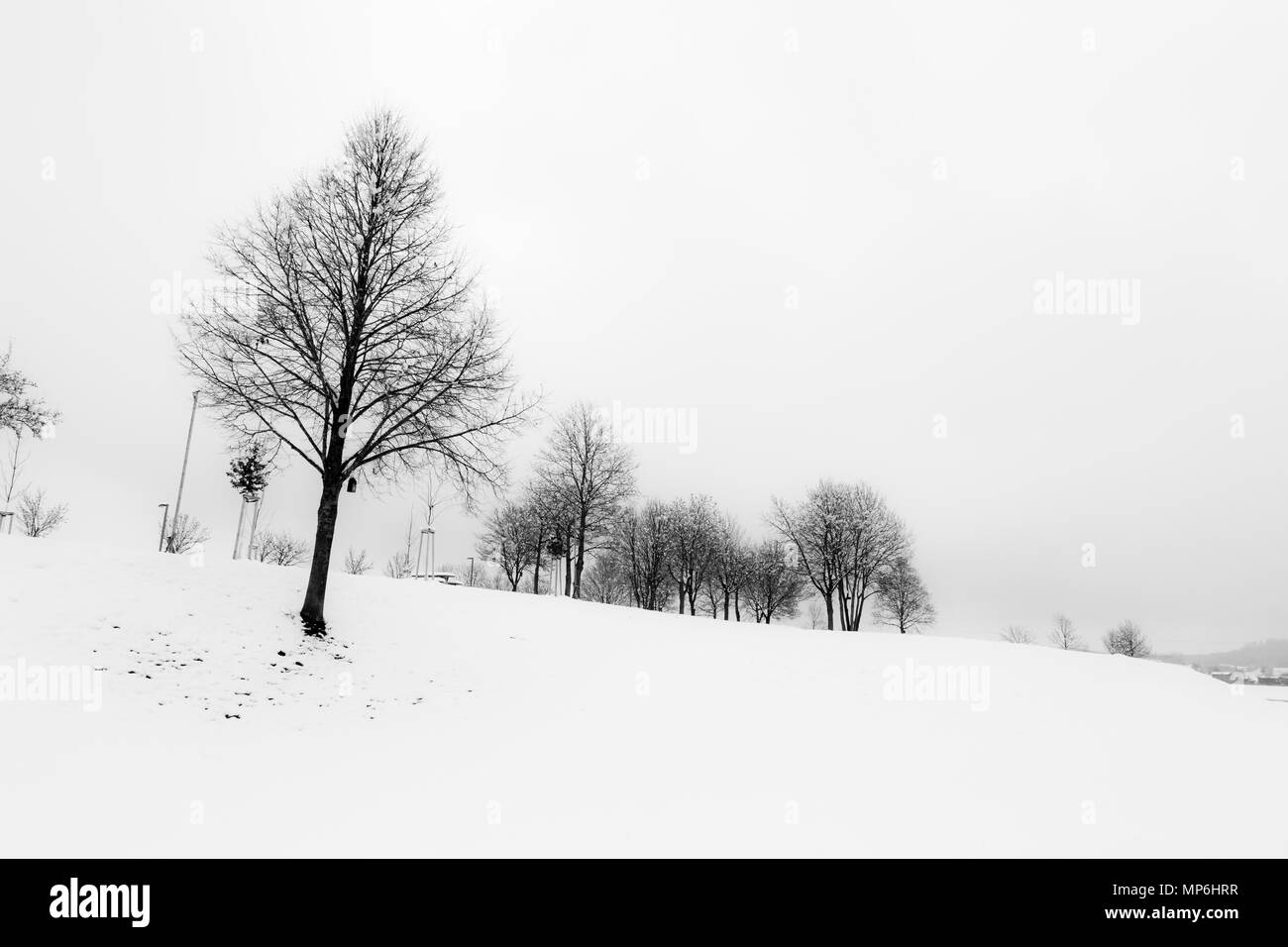 Un arbre dans un champ de montagne totalement couvert par la neige, sous un ciel vide Banque D'Images