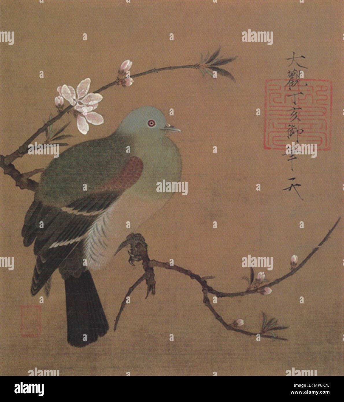 絹本著色桃鳩図 徽宗皇帝 日本語 English Pigeon Sur Une Branche Peach 1108 Ou 1109 Ce 1956 12 25 900 Momohatozu Huizong Photo Stock Alamy