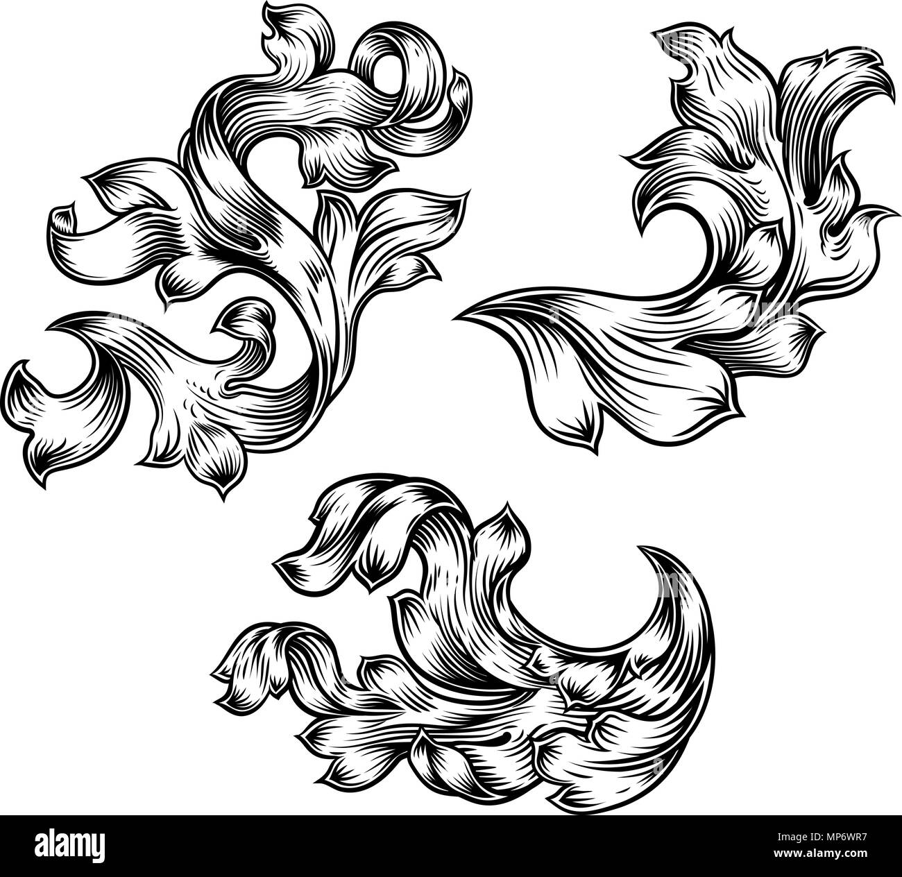 Filigrane Floral Pattern Set Design héraldique de défilement Illustration de Vecteur