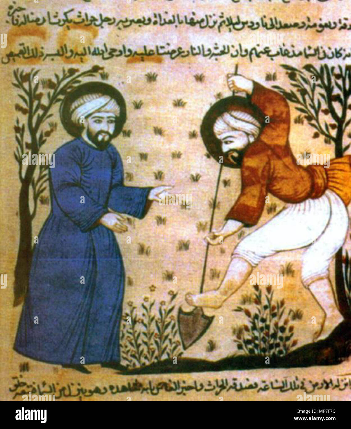 . Anglais : une scène de travaux agricoles avec un homme creusant les plantes herbacées avec une bêche, parmi les arbres cultivés, à partir d'un manuscrit arabe médiévale d'Al-Andalus (l'Espagne islamique) . vers 1200. Manuscrit arabe médiévale de l'Espagne islamique 676 Espagne islamique scène agricole Banque D'Images