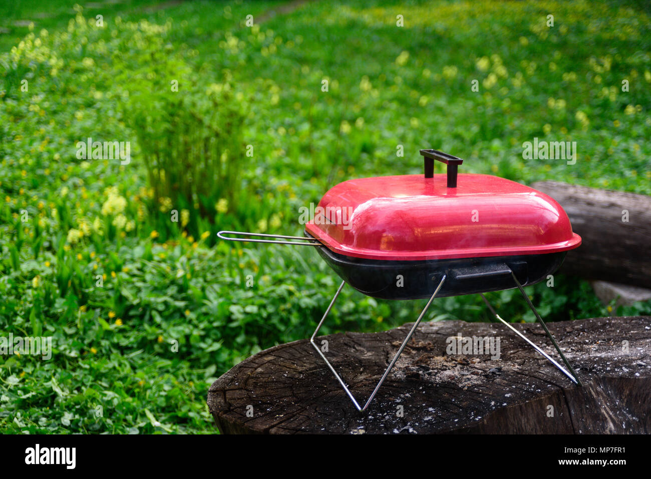 Barbecue Charbon de bois Barbecue sur jardin arrière-plan. Grilleware Portable. La cuisine en plein air Gare Banque D'Images