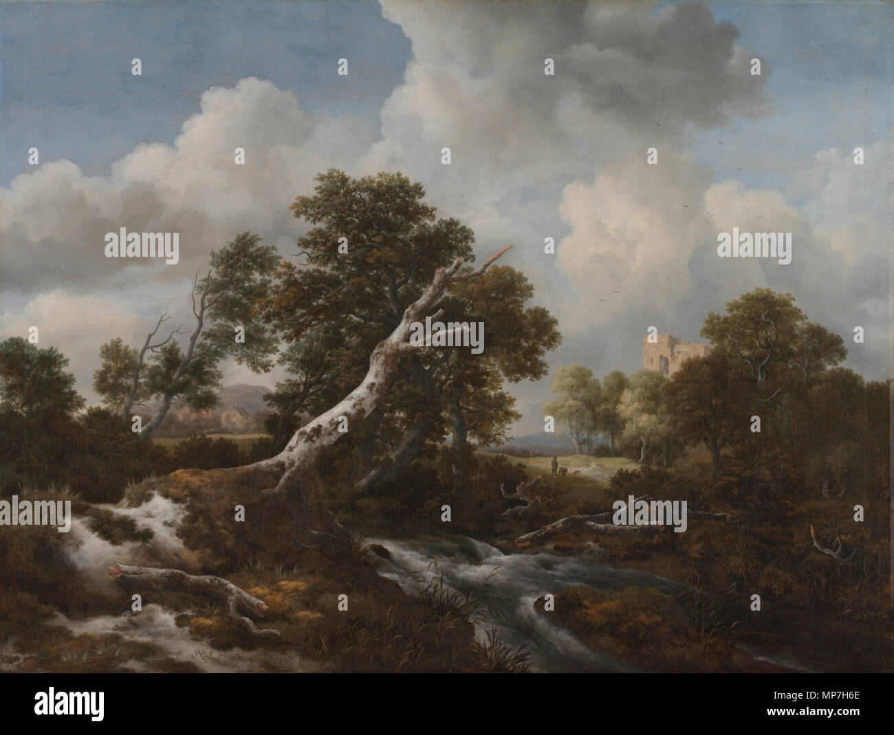 Anglais : Faible cascade dans un paysage boisé avec un hêtre mort années 1660. 684 Jacob van Ruisdael - Faible cascade dans un paysage boisé avec un hêtre mort Banque D'Images