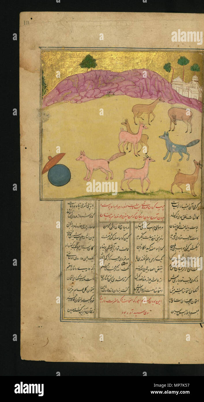 W.626.110un 692 Jalal al-Din Rumi, Maulana - UNE Vantarde Jackal - Walters W626110A - Page complète Banque D'Images