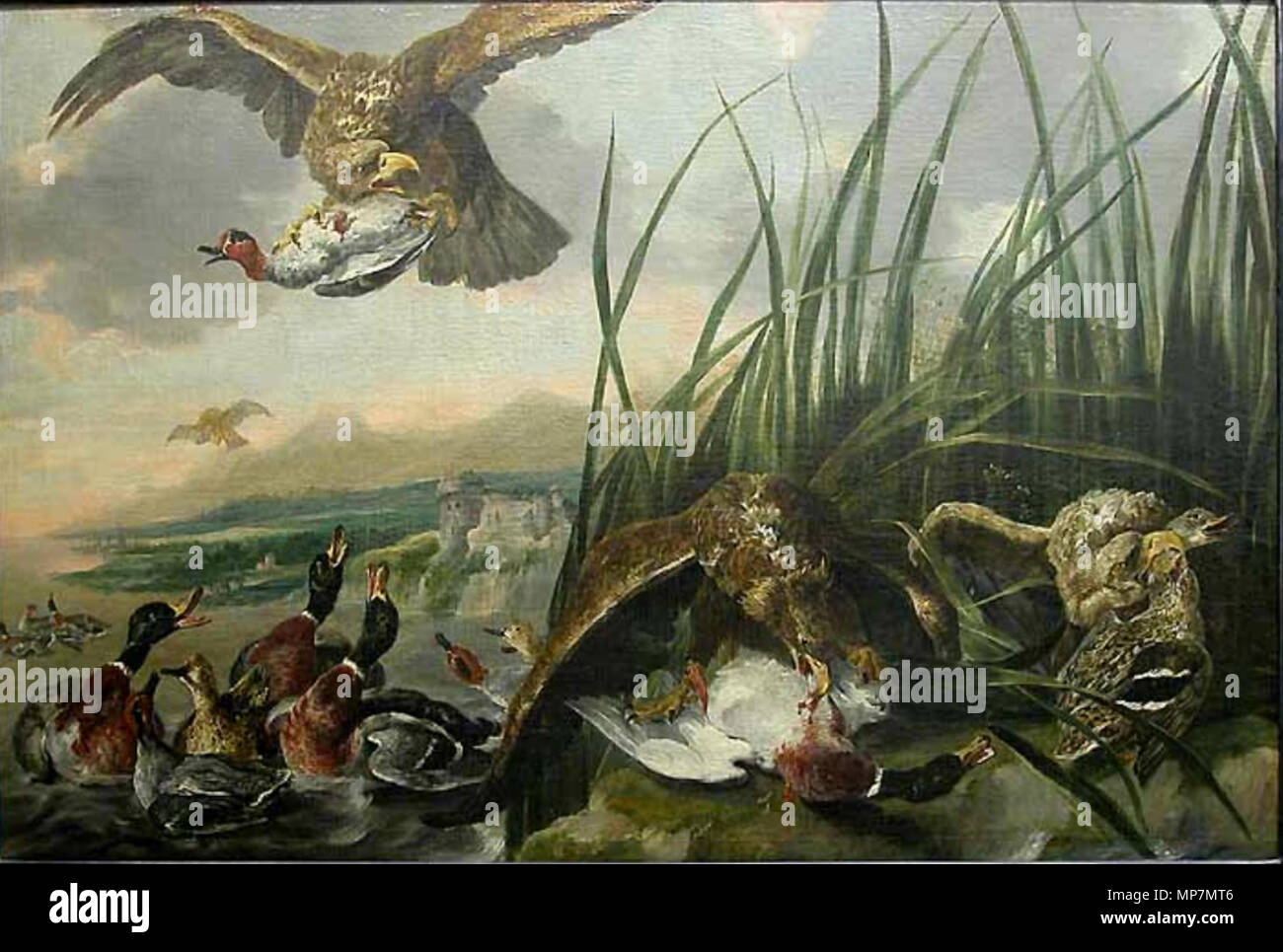 Anglais : Eagles attaquant canards 1650-60. 697 Jan Fyt - Eagles attaquant canards Banque D'Images