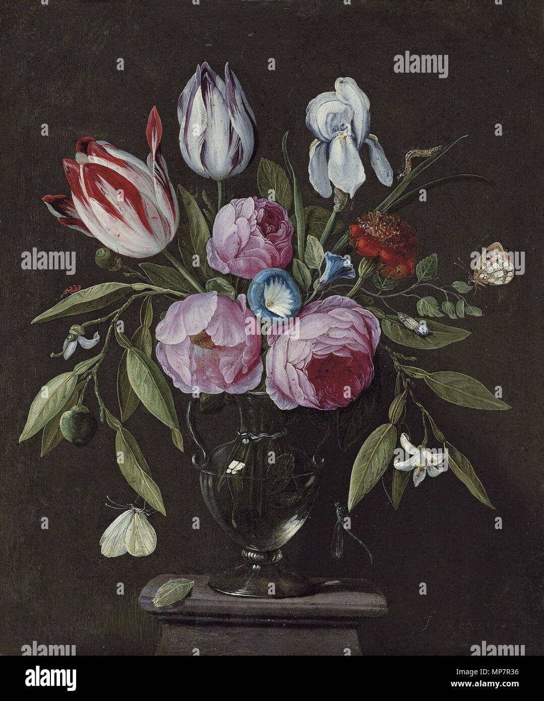 Roses, tulipes, un iris et autres fleurs, dans un vase en verre sur un socle en pierre, avec des papillons et autres insectes 17e siècle. 704 Jan van Kessel de Oude - Rozen, tulpen, een iris en andere bloemen etc Banque D'Images