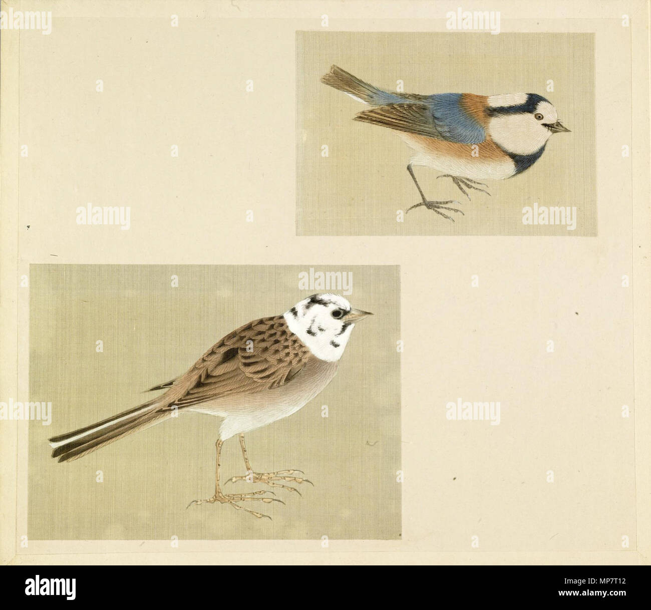 35.172.9 708 feuilles - japonais de l'album représentant des petits oiseaux - Walters 351729 Banque D'Images