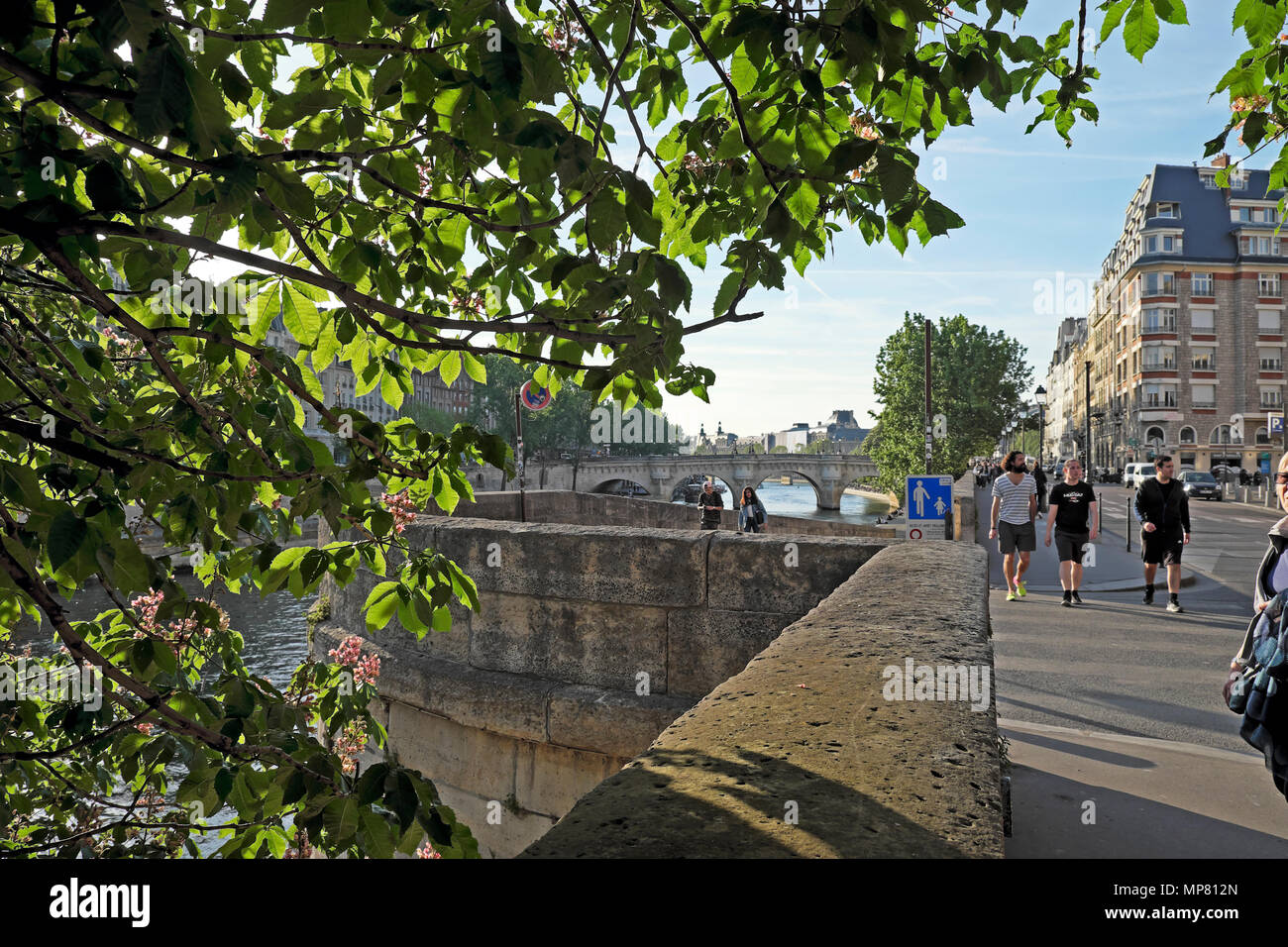 Les jeunes hommes qui marchent le long de la rue sur la rive gauche de la Seine sur un soir de printemps près de Pont Neuf à Paris KATHY DEWITT Banque D'Images