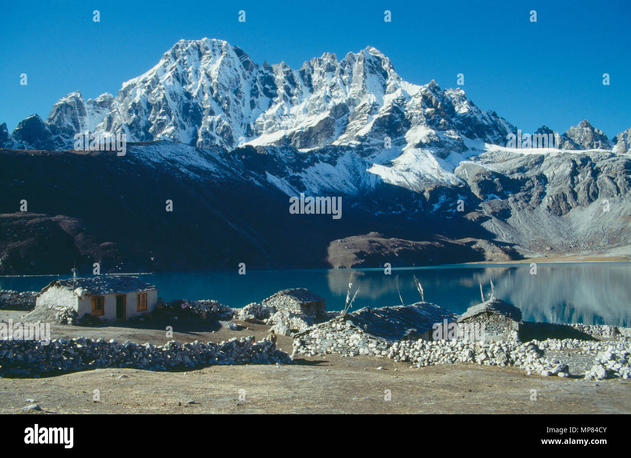 Le Népal, l'Himalaya, les pics couverts de neige, Gokyo surplombant le lac avec ses maisons en pierre et de l'élevage. Banque D'Images