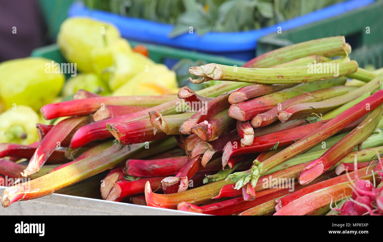 Bouquet de rhubarbe les légumes au marché de fermiers Banque D'Images