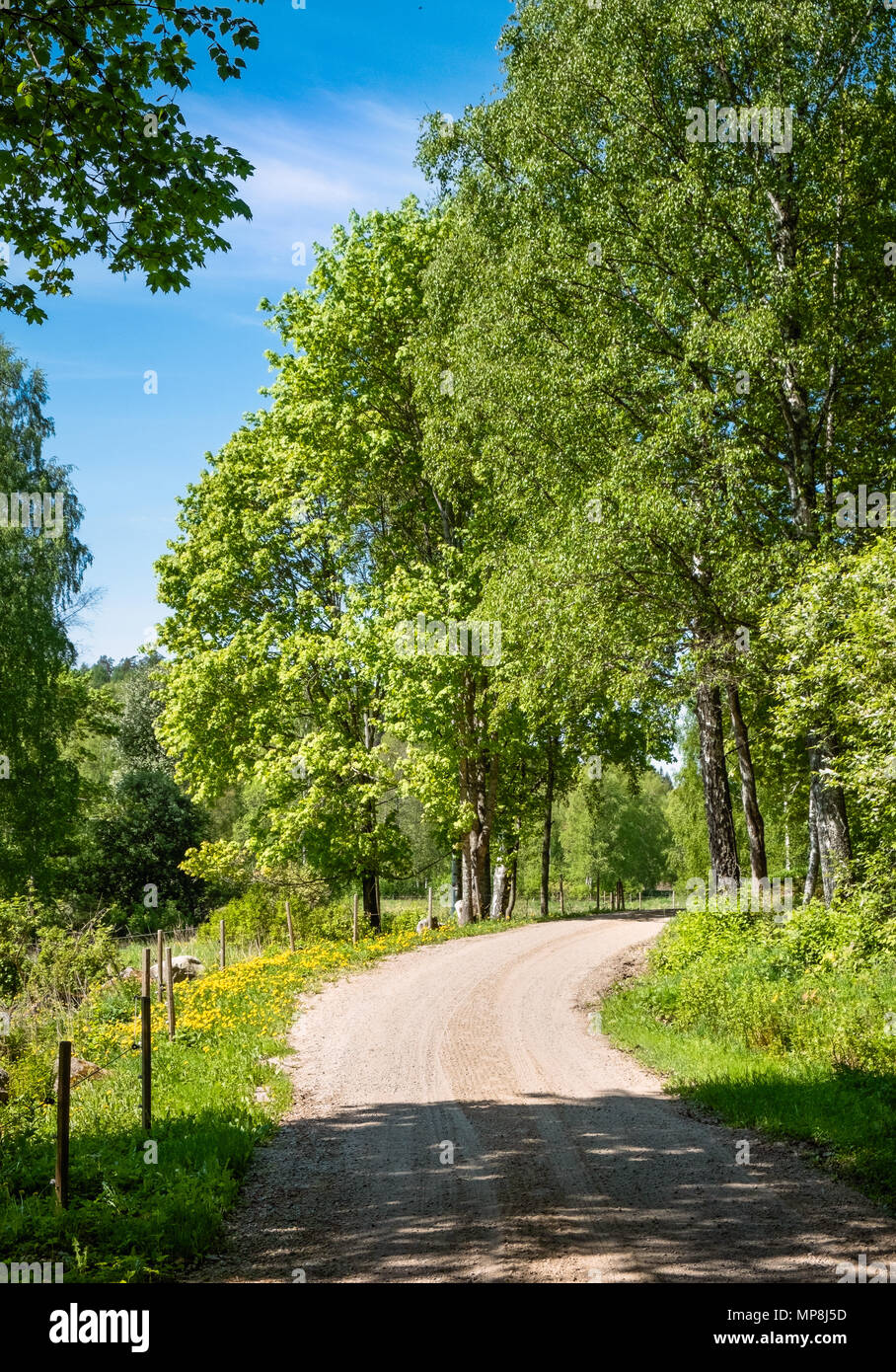 Paysage de campagne pittoresque route sinueuse avec clôture et à jour d'été ensoleillé à la Finlande Banque D'Images