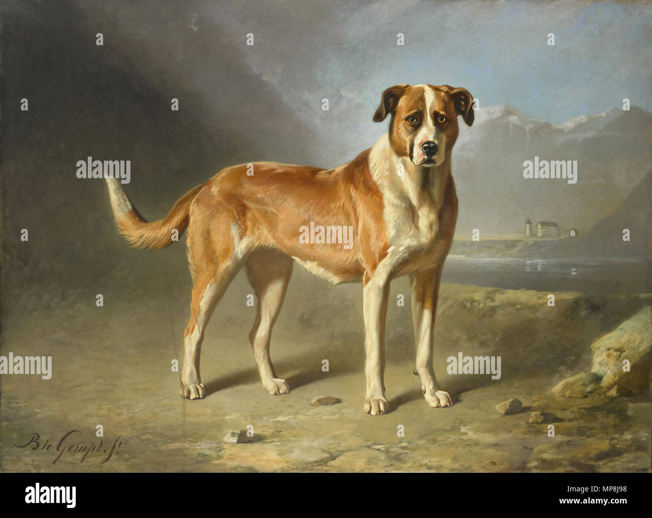 Datum 29-04-04 Q18607739 . Nederlands : Sint Bernardshond. ca. 1850-1879. huile sur toile. 179 × 248 × 97,6 cm (70,4 in). Amsterdam, Rijksmuseum Amsterdam. . Vers 1850-1879. 1137 Saint Bernard chien par Bernard te Gempt SK-A-1337 Banque D'Images