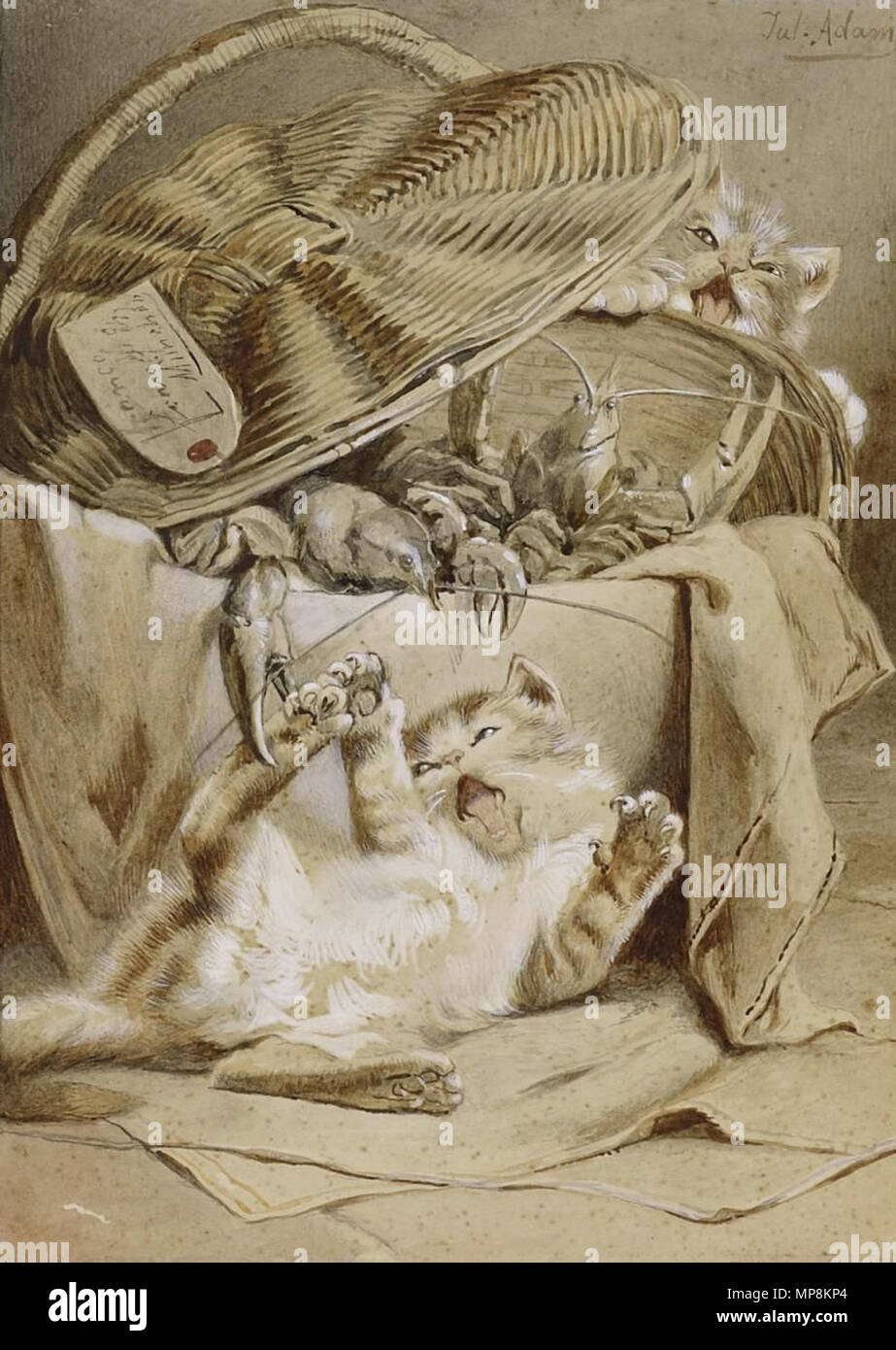 751 Julius Adam Kätzchen Banque D'Images