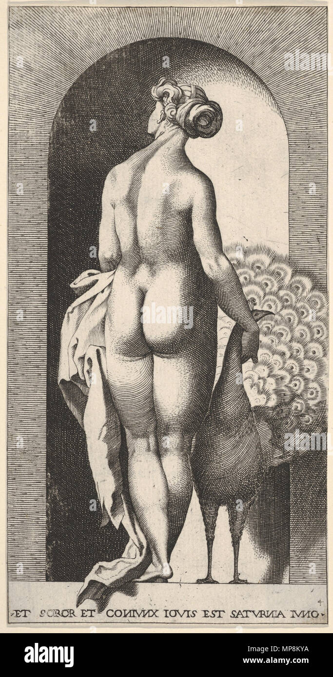 . Anglais : Juno debout dans une niche, vu de derrière, caressant un paon à sa droite, à partir d'une série de dieux et déesses mythologiques . 1526. Caraglio Juno 752 Banque D'Images