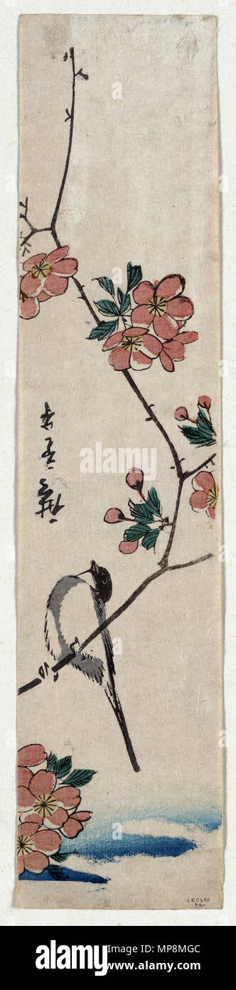 Shokin ni Kaido (Petit oiseau sur une branche de Kaidozakura) vers 1804 - 1844. 755 Kaido ni shokin2 Banque D'Images