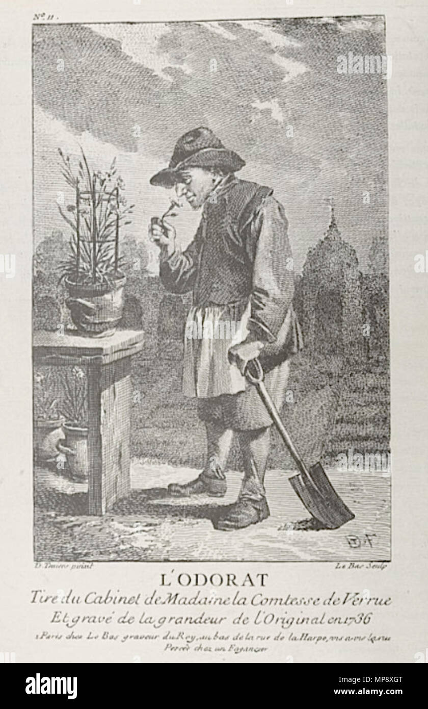 . Anglais : L'Ordorat, gravure par le bas après que David Teniers le Jeune, du Cabinet de Madame la Comtesse de verrue... [Rue de la Harpe]... 1736. Jacques-Philippe Le bas après que David Teniers le Jeune 781 L'Odorat Le bas après D. Teniers Banque D'Images
