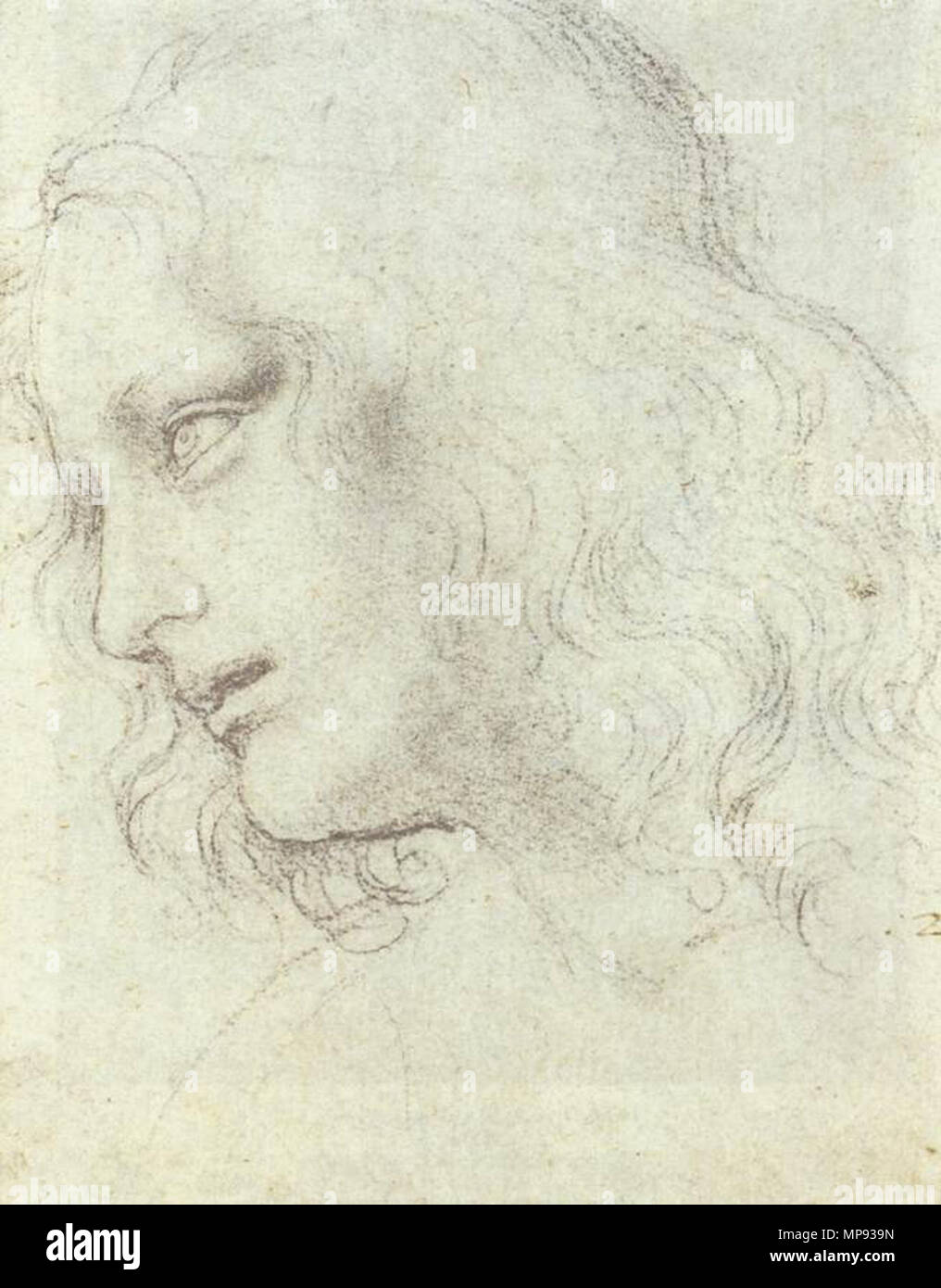 Anglais : étude pour la Dernière Cène circa 1495. Leonardo da Vinci 804, étude pour la Dernière Cène tête 2 Banque D'Images