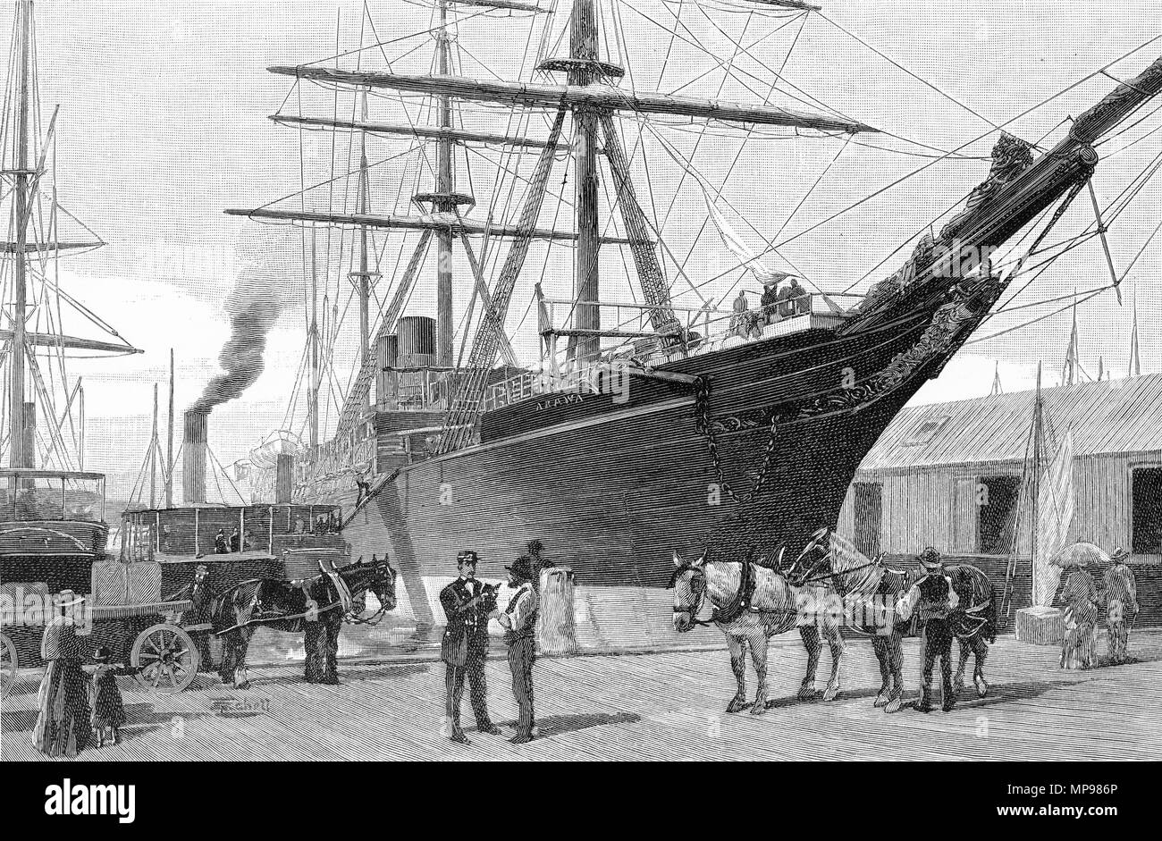 Gravure de wharfies mouton congelé de chargement à Queen's Wharf, Auckland vers 1880, en Nouvelle-Zélande. À partir de l'Atlas pittoresque d'Australasie Vol 3, 1886 Banque D'Images