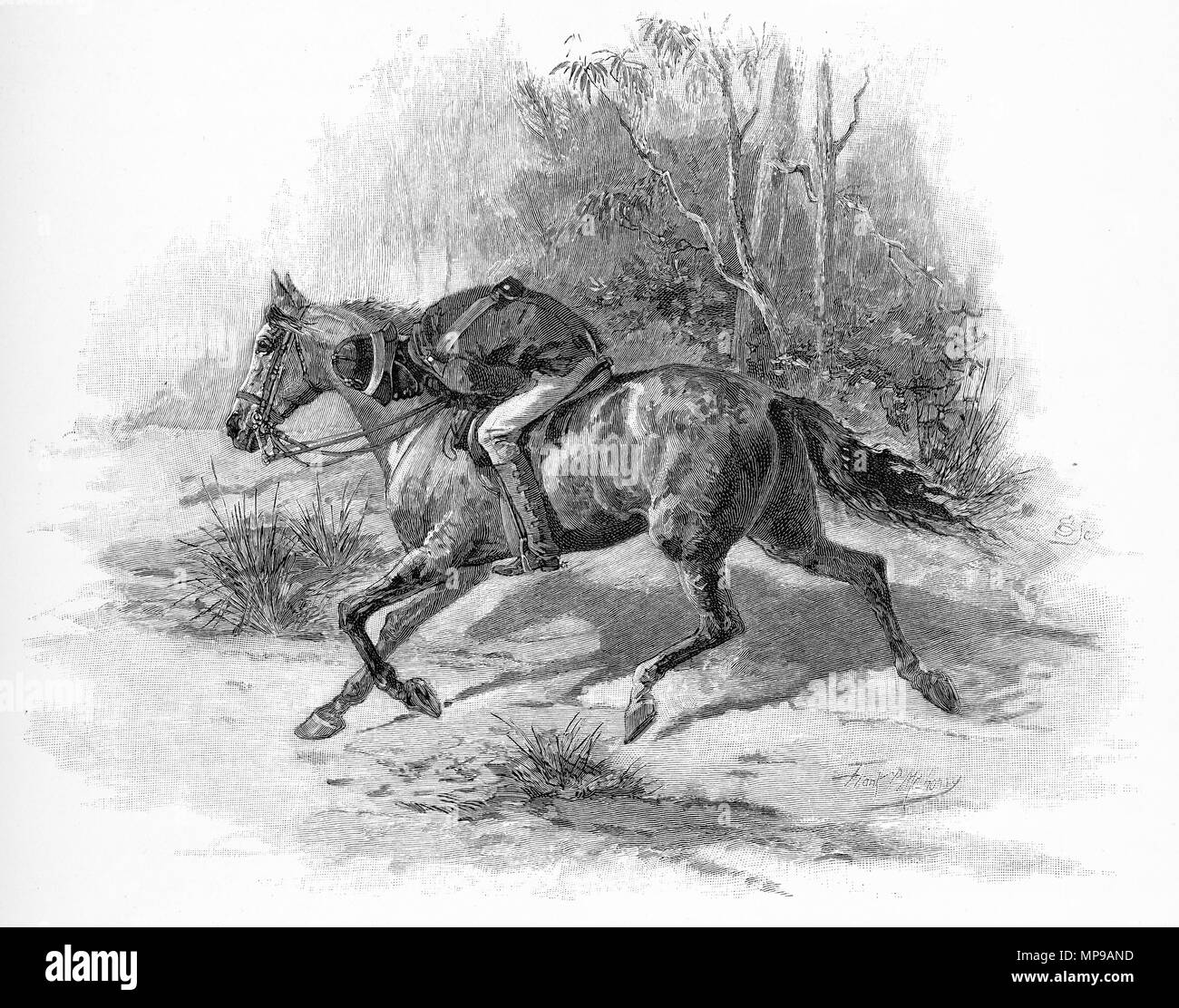 Gravure d'un tracker autochtones suivant le chemin d'un hors-la-loi en Australie. À partir de l'Atlas pittoresque d'Australasie Vol 3, 1886 Banque D'Images