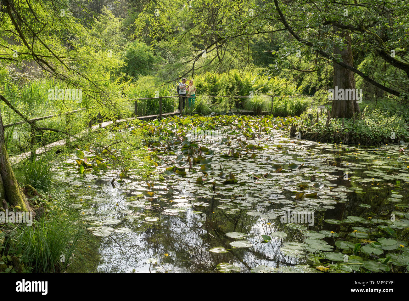 Un couple au bord du lac ou étang dans le Jardin botanique de Lucques, Toscane, Italie, Europe Banque D'Images