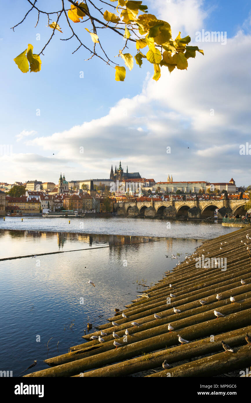 Avec Charles de Prague Pont sur la Vltava et de l'ensemble du château de Hradcany à golden couleurs d'automne. Voyage, vacances, visites concept négatif avec Banque D'Images