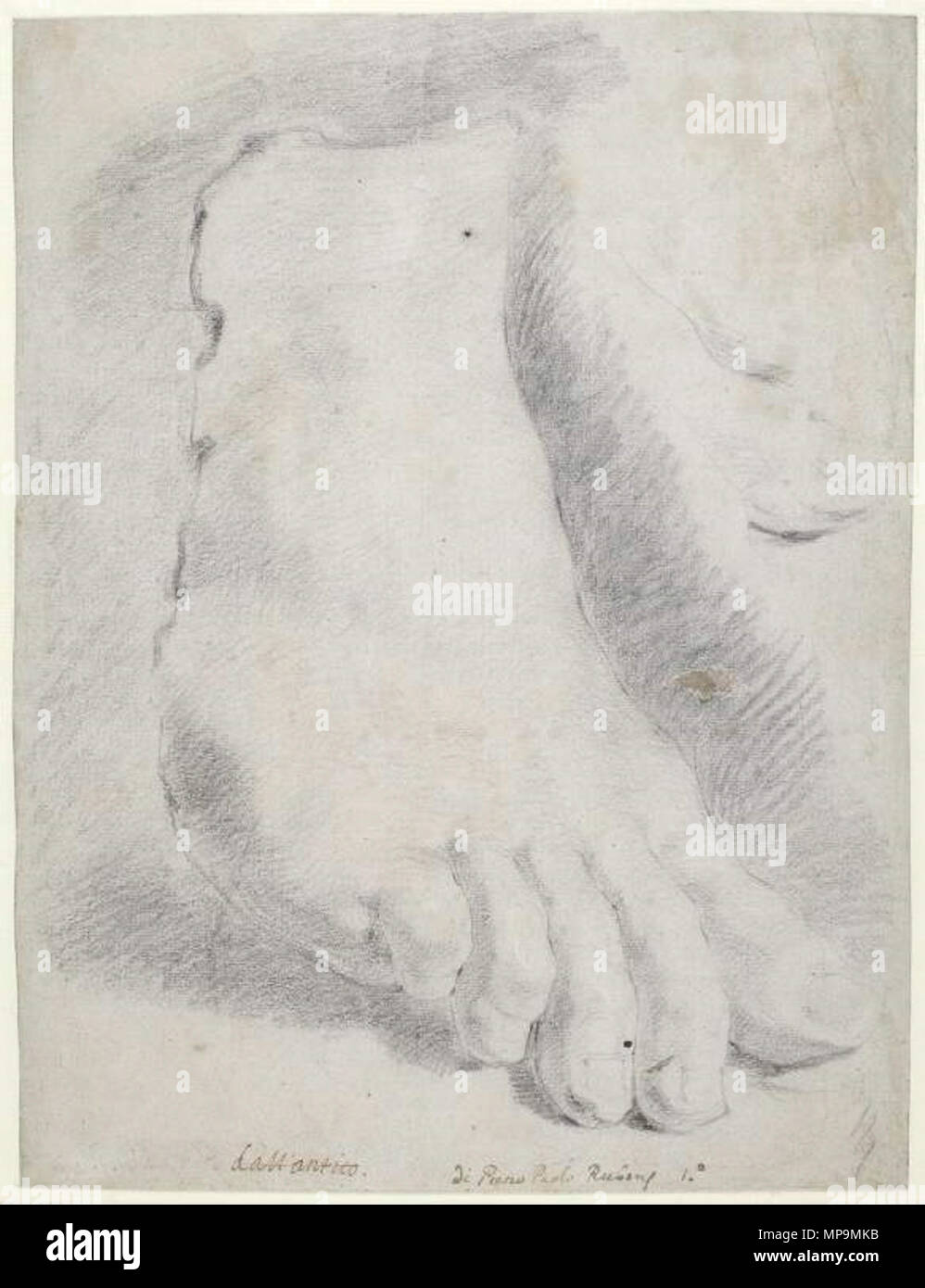 Un colossal pied entre 1597 et 1640. 978 Peter Paul Rubens 222 Banque D'Images