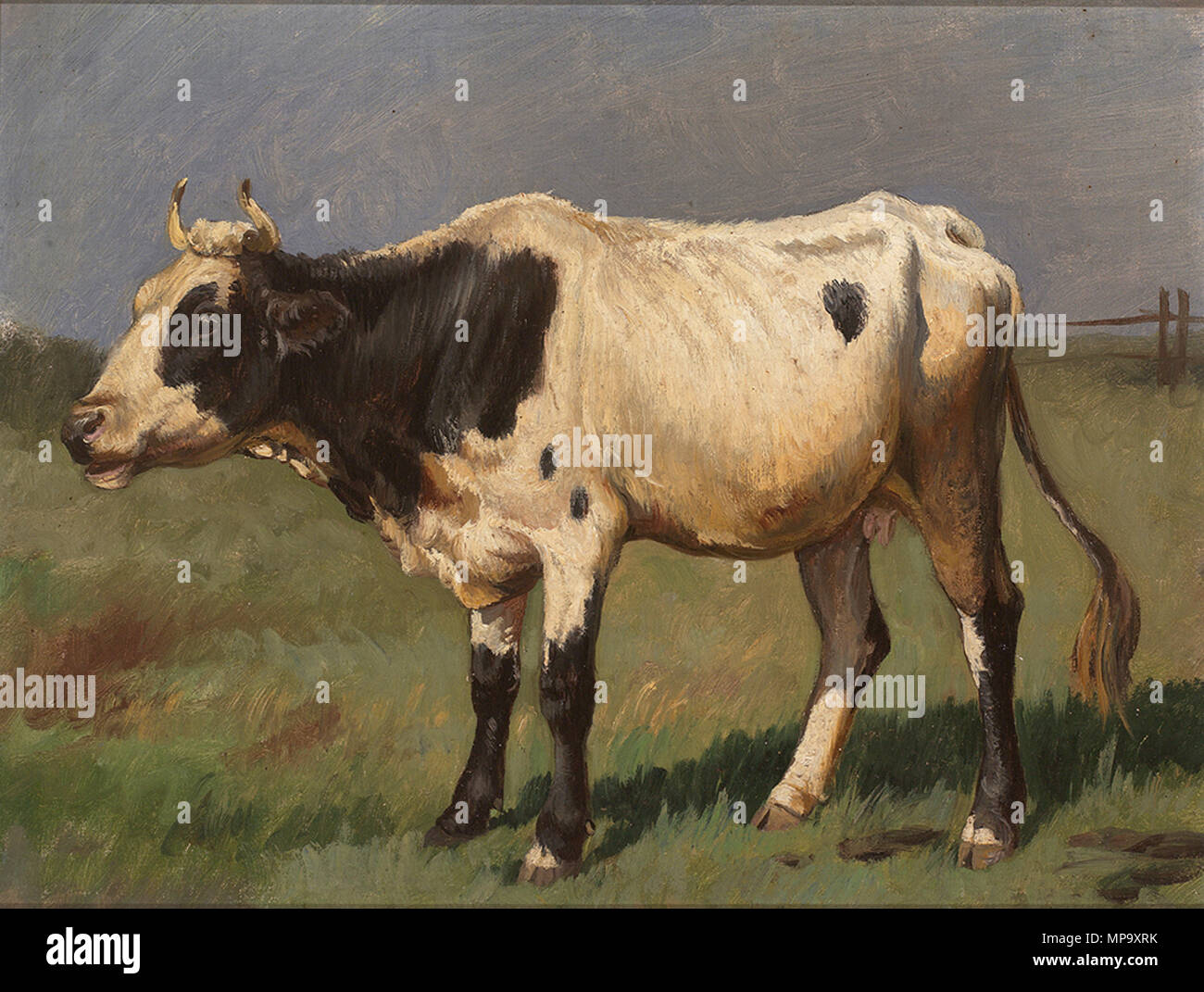 847 Christian Mali Schwarz-weiß gefleckte Kuh Banque D'Images