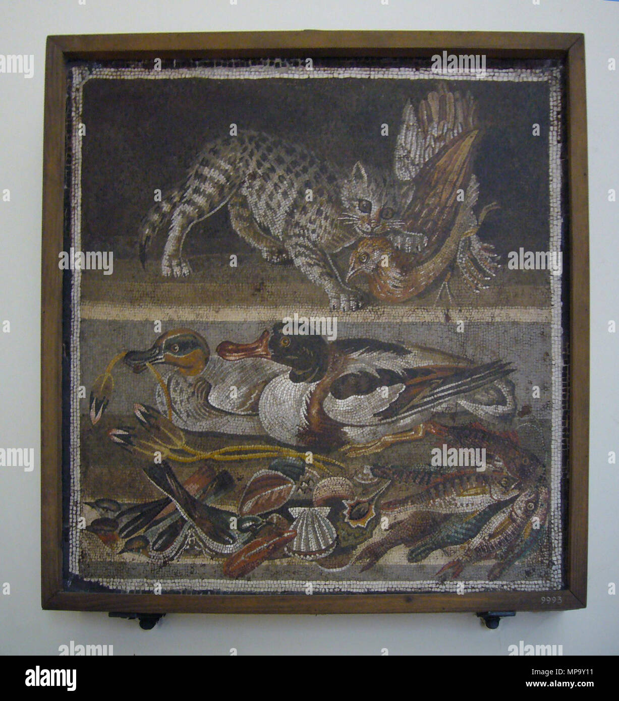 . Naples, Museo Archeologico Nazionale (inv. n° 8. 9993), mosaico da Pompei (Casa del Fauno). Les signes Sono su due registri sovrapposti : ONU gatto che quello superiore agguanta ; pollo onu inferiore quello che rappresenta una natura morta tutto quello che i Romani amavano loro sulla tavola : en raison anatre boccioli (qui con di Fiori di loto nel becco), quattro uccelletti (legati per le zampe), conchiglie e Frutti di mare, diversi pesci. . Homme Lalupa 847 mosaici animali da Pompei 1040618 Banque D'Images