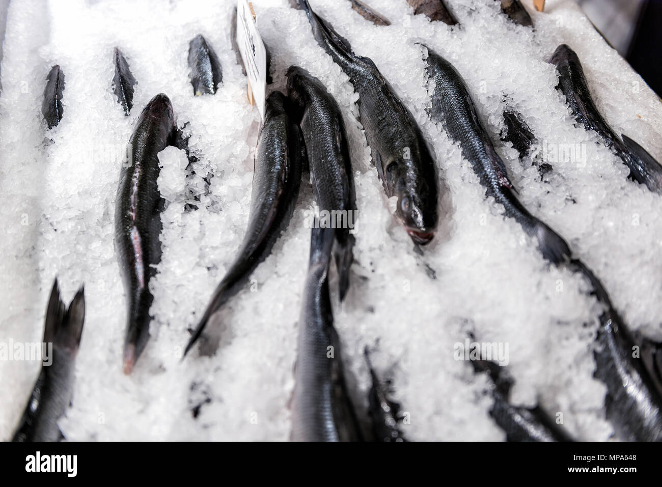 Gros plan des lignes de nombreux poissons daurade dorade de hareng, de signer ensemble sur la glace dans l'affichage du marché de fruits de mer Banque D'Images