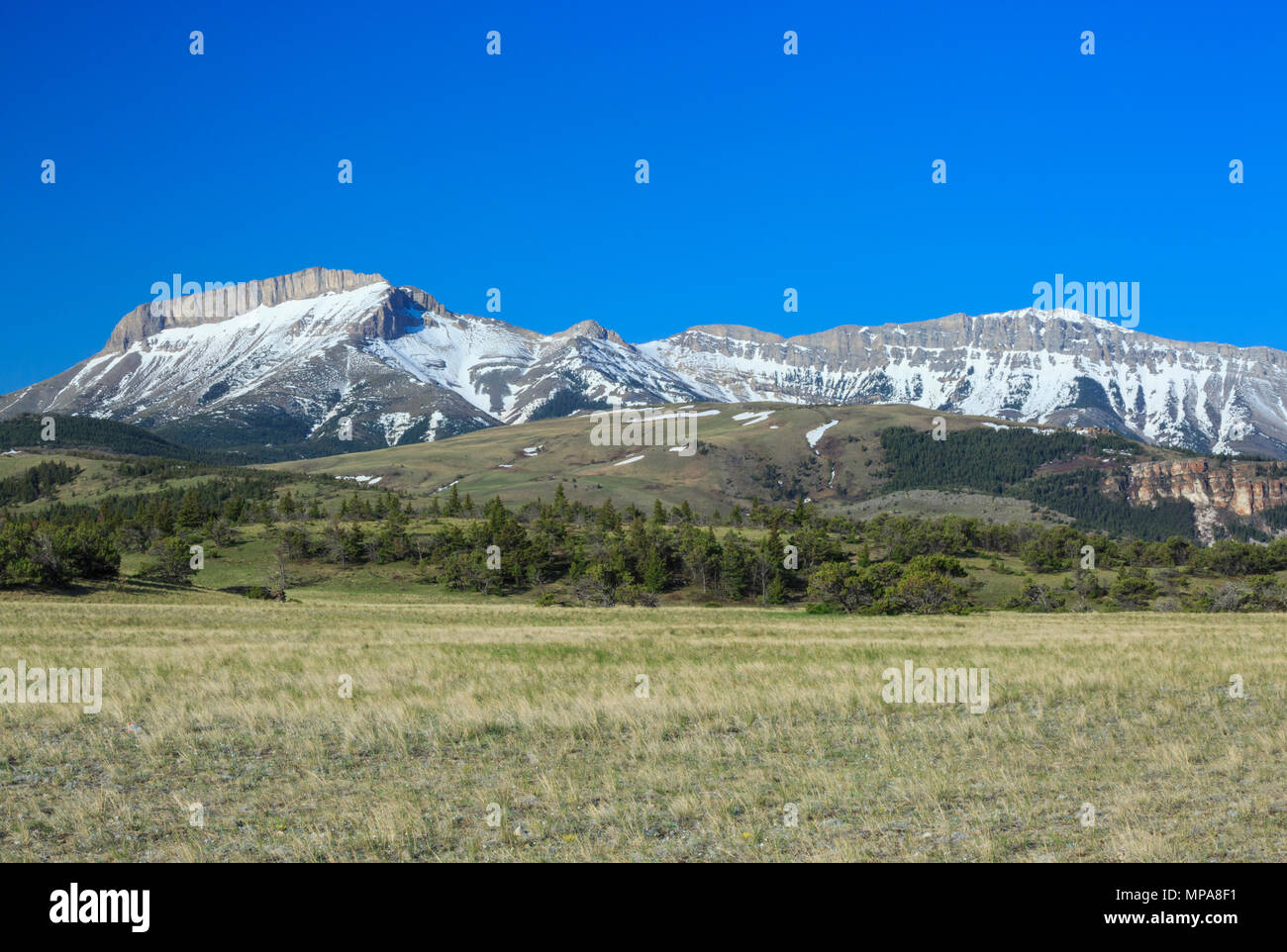 La montagne de l'oreille le long du front de mer près de Rocky Mountain, montana choteau Banque D'Images