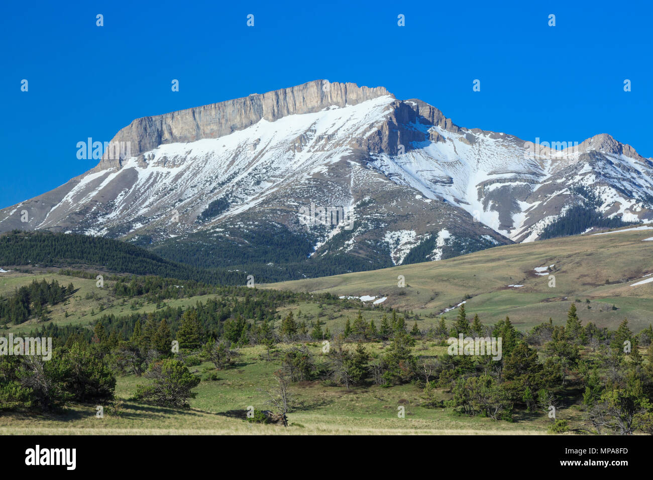 La montagne de l'oreille le long du front de mer près de Rocky Mountain, montana choteau Banque D'Images