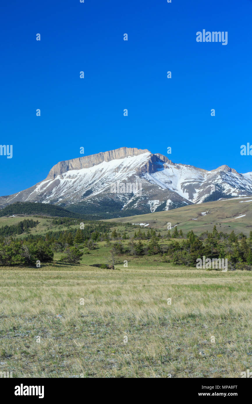 La montagne de l'oreille le long du front de mer près de Rocky Mountain, montana choteau Banque D'Images