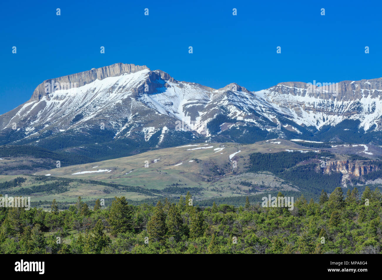 La montagne de l'oreille le long du front de mer près de Rocky Mountain, montana choteau Banque D'Images