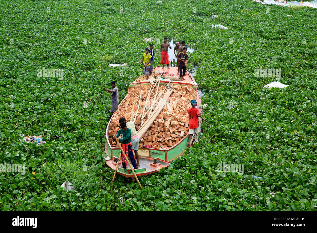 Un des navires de couper à travers la croissance de la jacinthe d'Burhiganga Rivière à Keraniganj. Dhaka, Bangladesh Banque D'Images