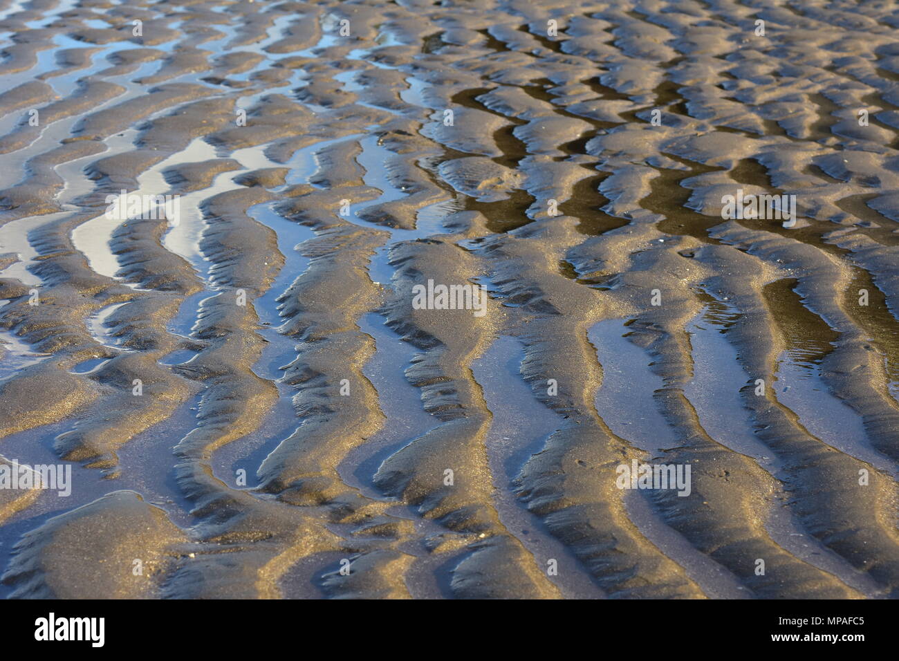 Motif créé par oceanic surf sur la plage de sable fin à marée basse. Banque D'Images