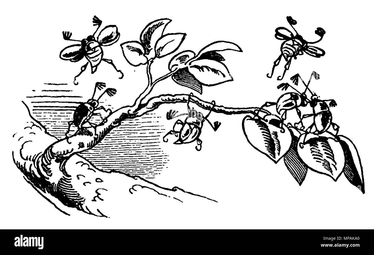 Max und Moritz . Wilhelm Busch (1832-1908) Allemand Description dessinateur, peintre et poète Date de naissance/décès 15 Avril 1832 9 janvier 1908 Lieu de naissance/décès Wiedensahl Mechtshausen lieu de travail Munich, Francfort, Wiedensahl contrôle d'autorité : Q109540 : VIAF 22139423 ISNI : 0000 0001 0877 704X ULAN : 500026717 RCAC : n79133995 NLA : 35024197 877 Max und Moritz WorldCat (Busch) 050 Banque D'Images