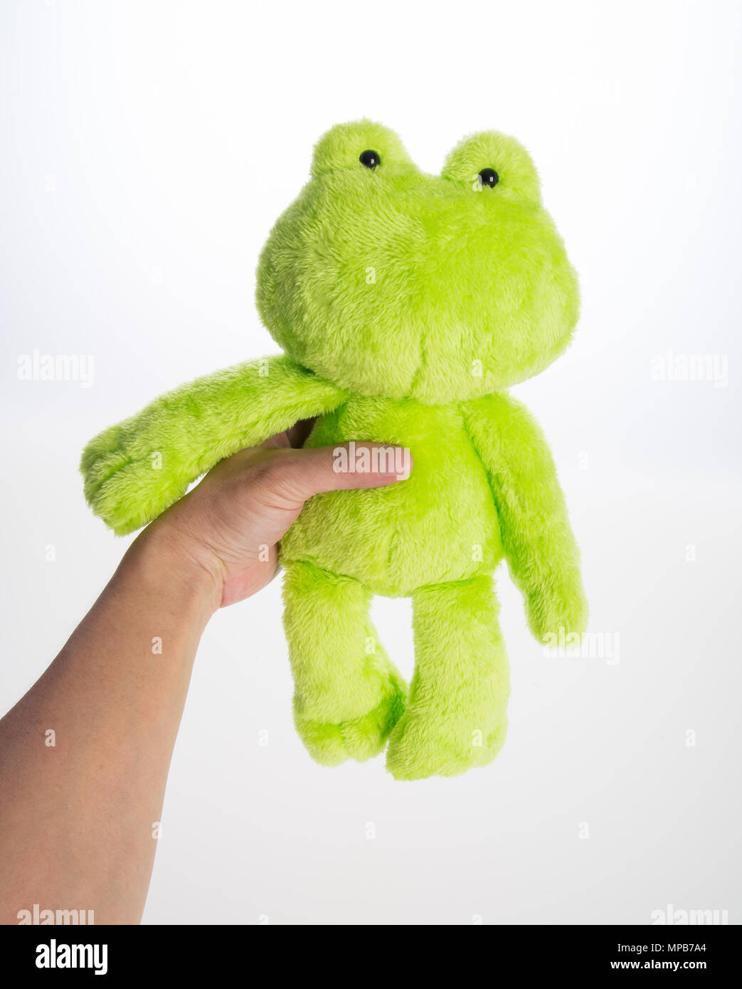 Jouet ou peluche grenouille sur l'arrière-plan Banque D'Images