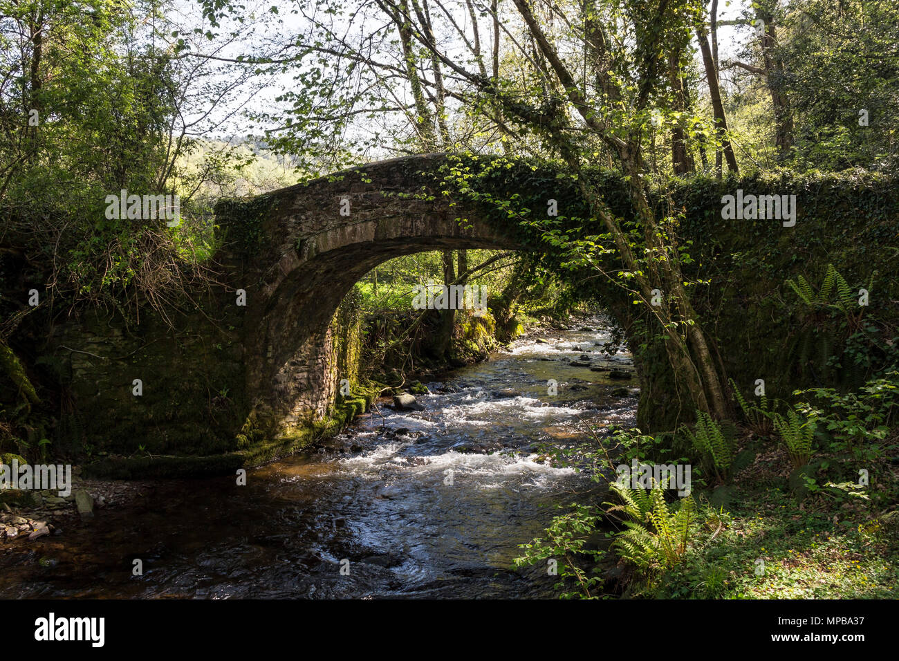 Pont sur Packhorse Horner l'eau sur le chemin, Coleridge Horner, près de Porlock, Parc National d'Exmoor, Somerset, Royaume-Uni. Banque D'Images