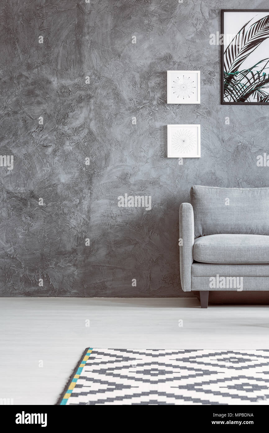 Canapé Gris Monochromatique En Salon Avec Tapis Noir Et