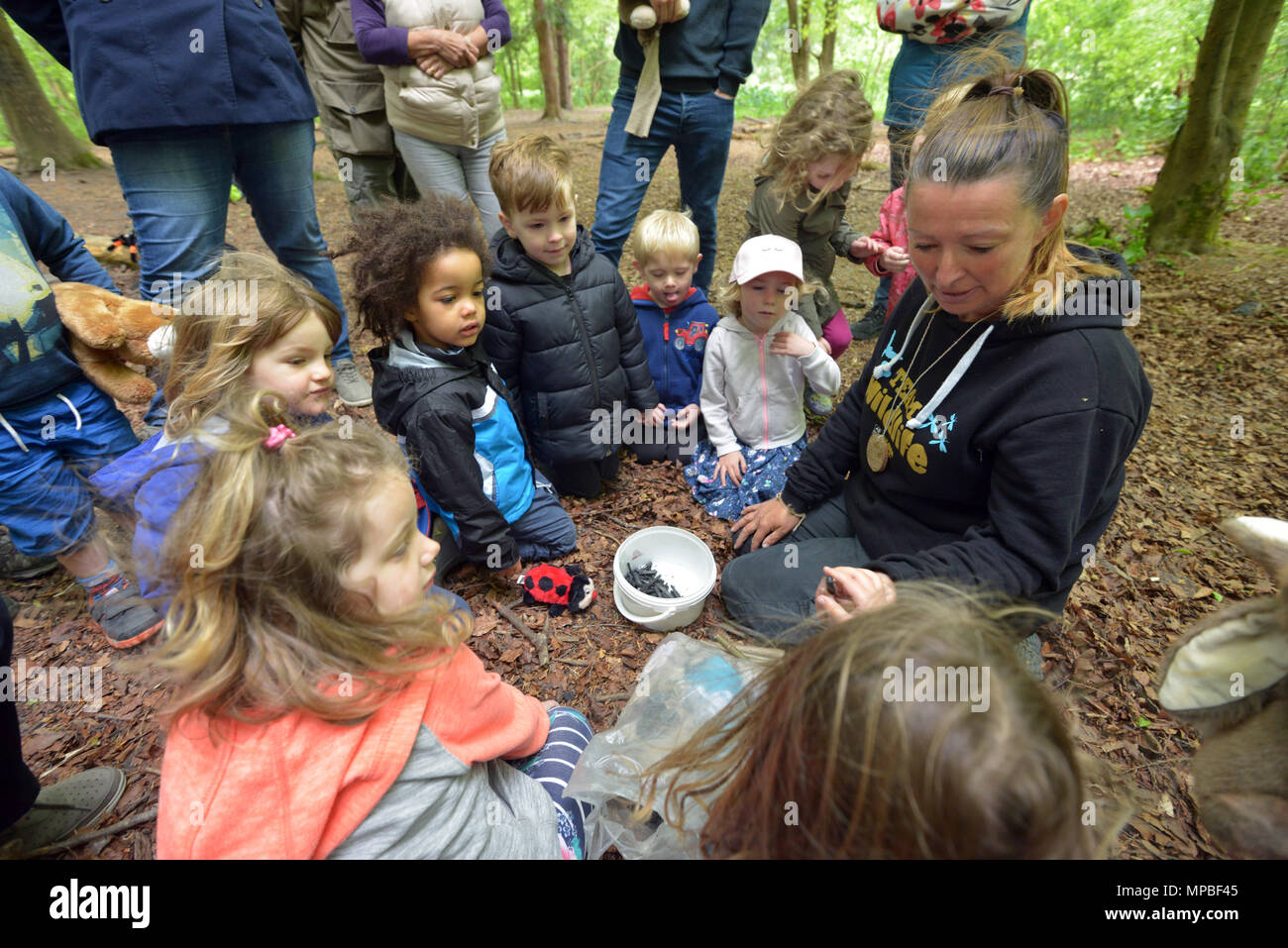 Les enfants à l'École de la forêt - Nature Tots, dans la forêt, Iken East Sussex. Banque D'Images