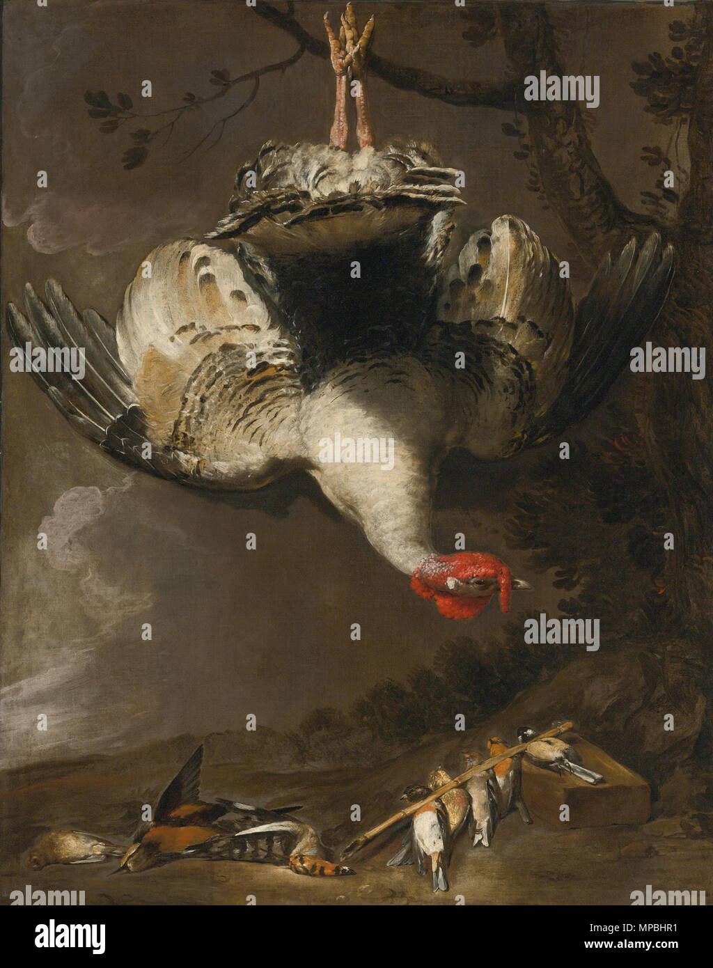 . La vie d'une Turquie encore et les oiseaux chanteurs dans un paysage Huile sur toile, 124,5 cm par 97,8 . tournant du 17/18 siècle. L'École Italienne, vers 1700 933 Ecole italienne du nord c1700 de la vie encore une dinde et les oiseaux chanteurs dans un paysage Banque D'Images