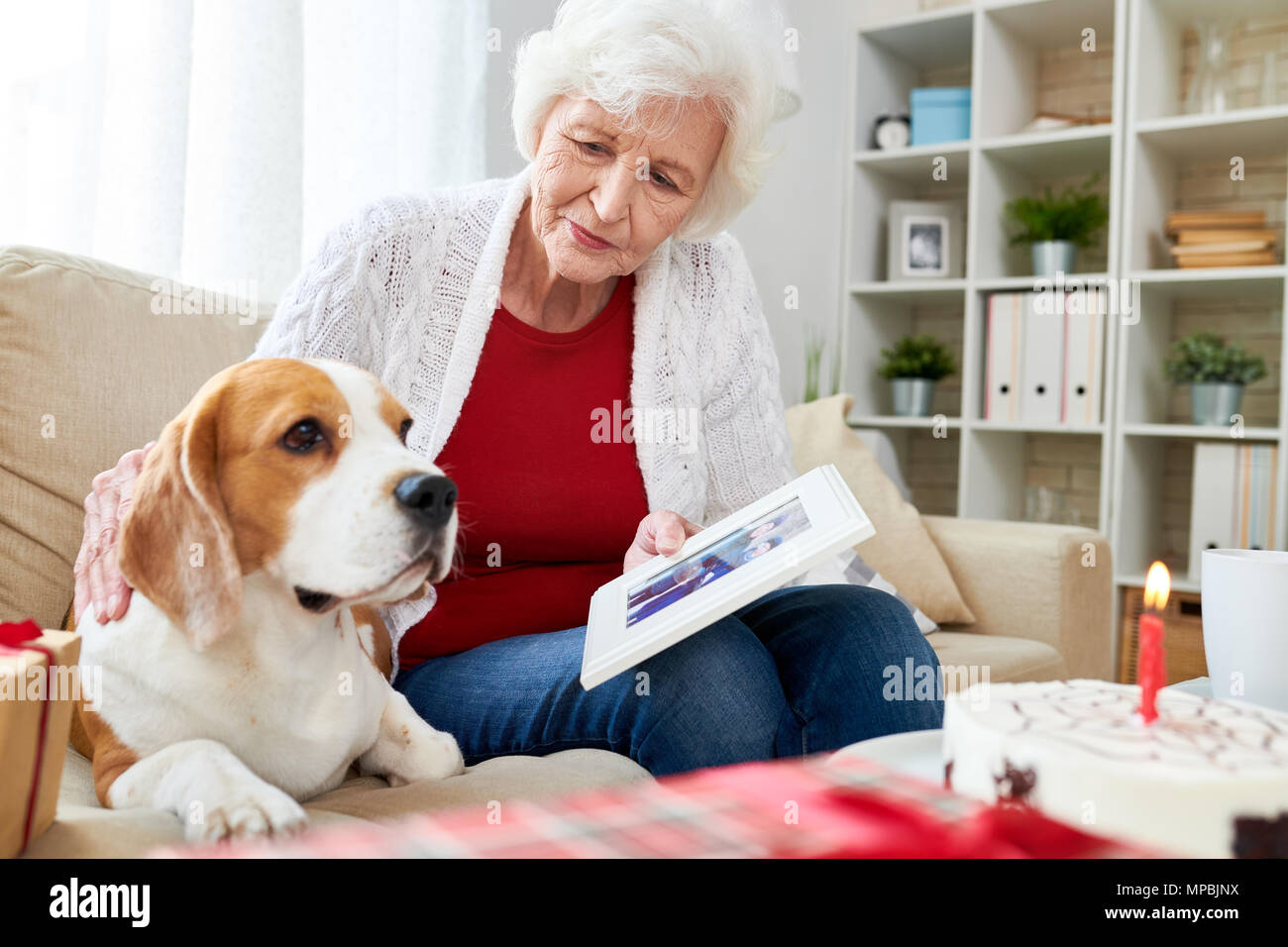 Senior Woman Showing Photo pour chien Banque D'Images