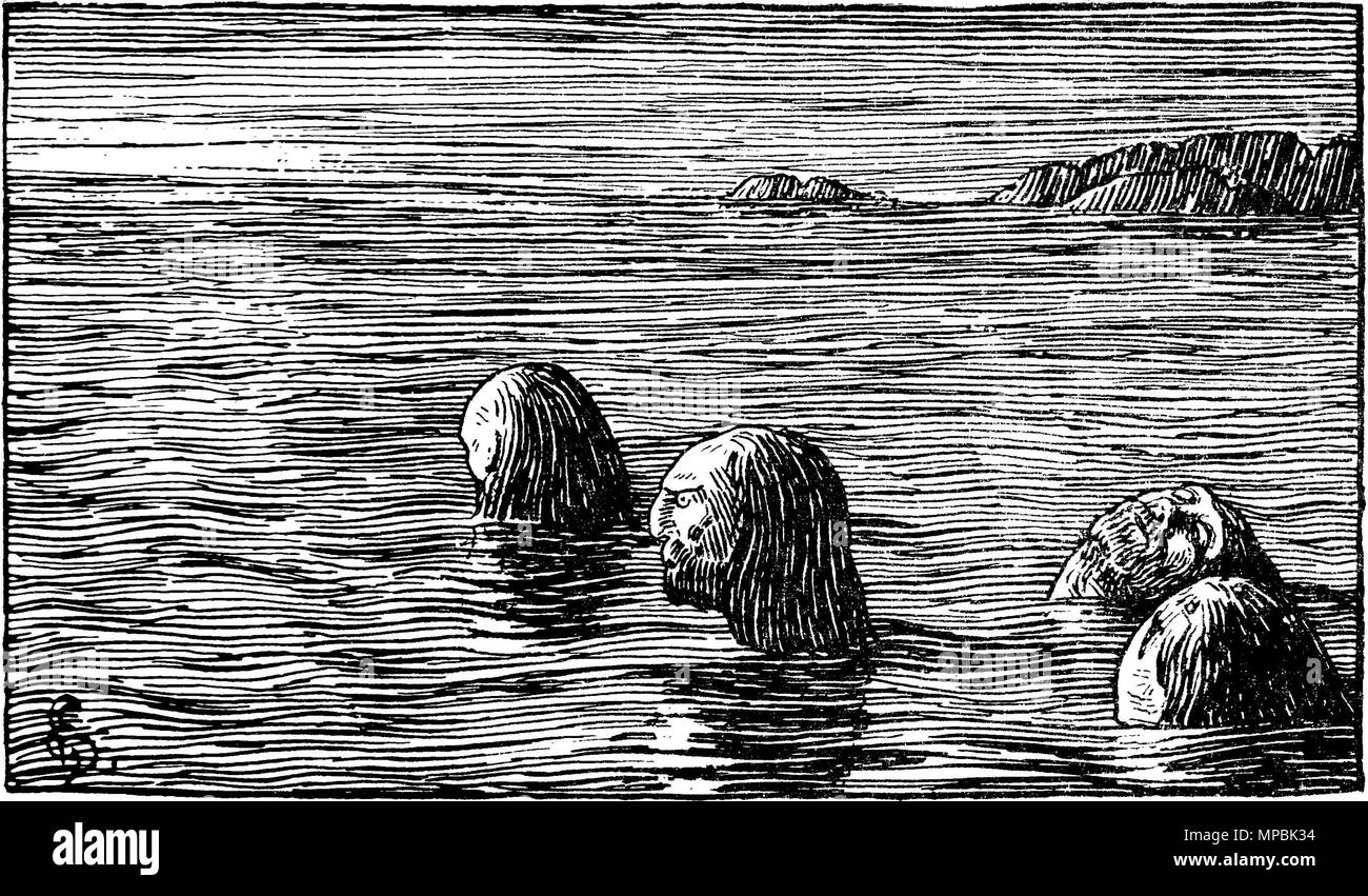 . Halfdan Egedius : l'illustration de l'Olav Trygvasons saga. Édition 1899-Snorre. « Seidmaendene Skratteskjaer aap." NB : "Seidmennene Skratteskjaer på." nn : "Seidmennene Skratteskjaer på." . 1897. Halfdan Egedius (1877-1899) Noms alternatifs Halfdan Egedius Johnsen norvégien Description peintre, dessinateur, graveur, illustrateur et graphiste Date de naissance/Décès 5 Mai 1877 2 février 1899 Lieu de naissance/décès d'Oslo Drammen contrôle d'autorité : Q2666703 : VIAF 76375730 ISNI : 0000 0001 0917 2966 ULAN : 500024706 RCAC : n80038019 GND : 120996480 940 Olav Tryggvasons WorldCat saga - Seidemenne Banque D'Images