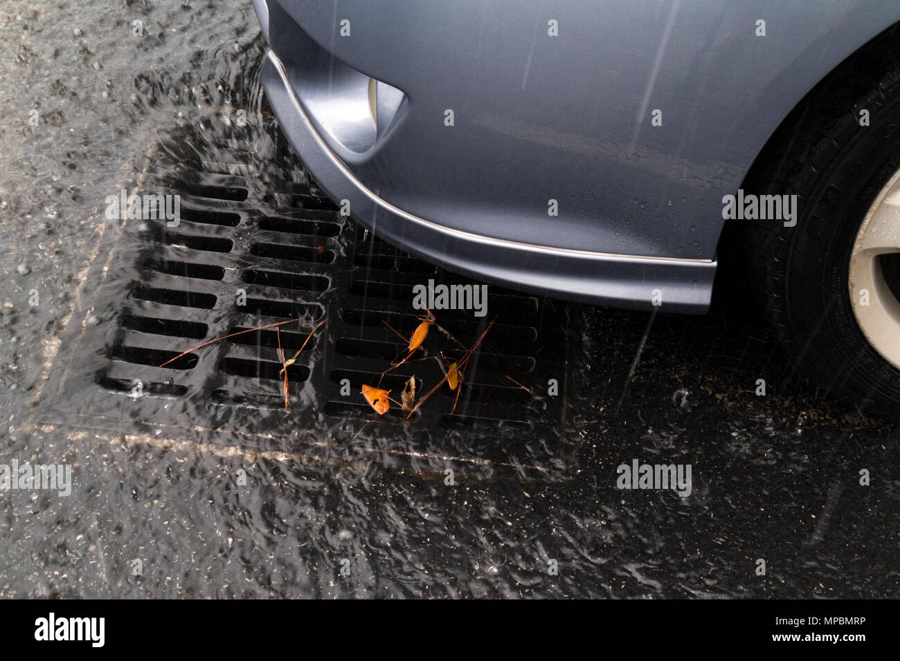 D'eaux pluviales lors d'une pluie torrentielle dans Foley, Alabama, Etats-Unis Banque D'Images