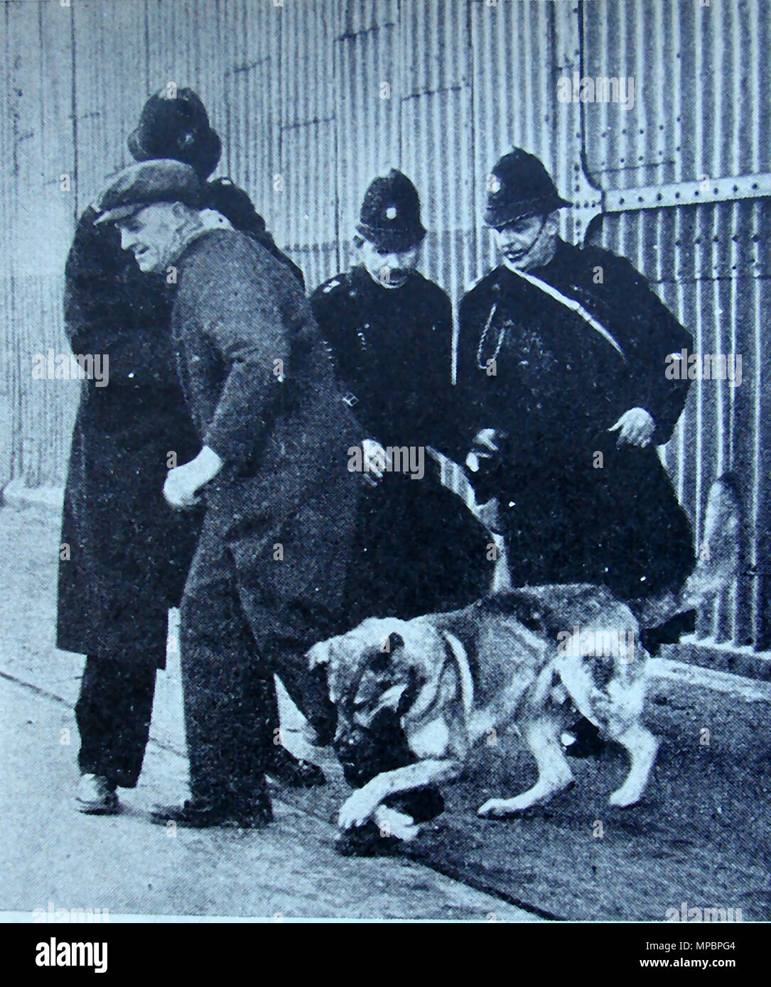 La loi et l'ordre en Grande-Bretagne -une illustration 1942 montrant un chien de police spécialement formés pour voyage pas mordre (blesser) voleurs de voler à partir de rations à des wagons de marchandises Wagons pour le marché noir pendant la DEUXIÈME GUERRE MONDIALE Banque D'Images