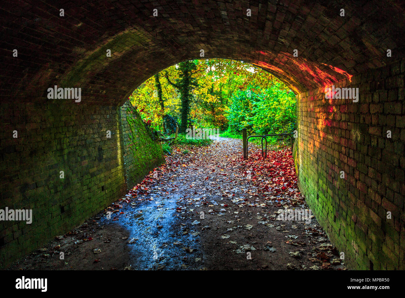 Un pont à Baggeridge Country Park dans le West Midlands. Banque D'Images