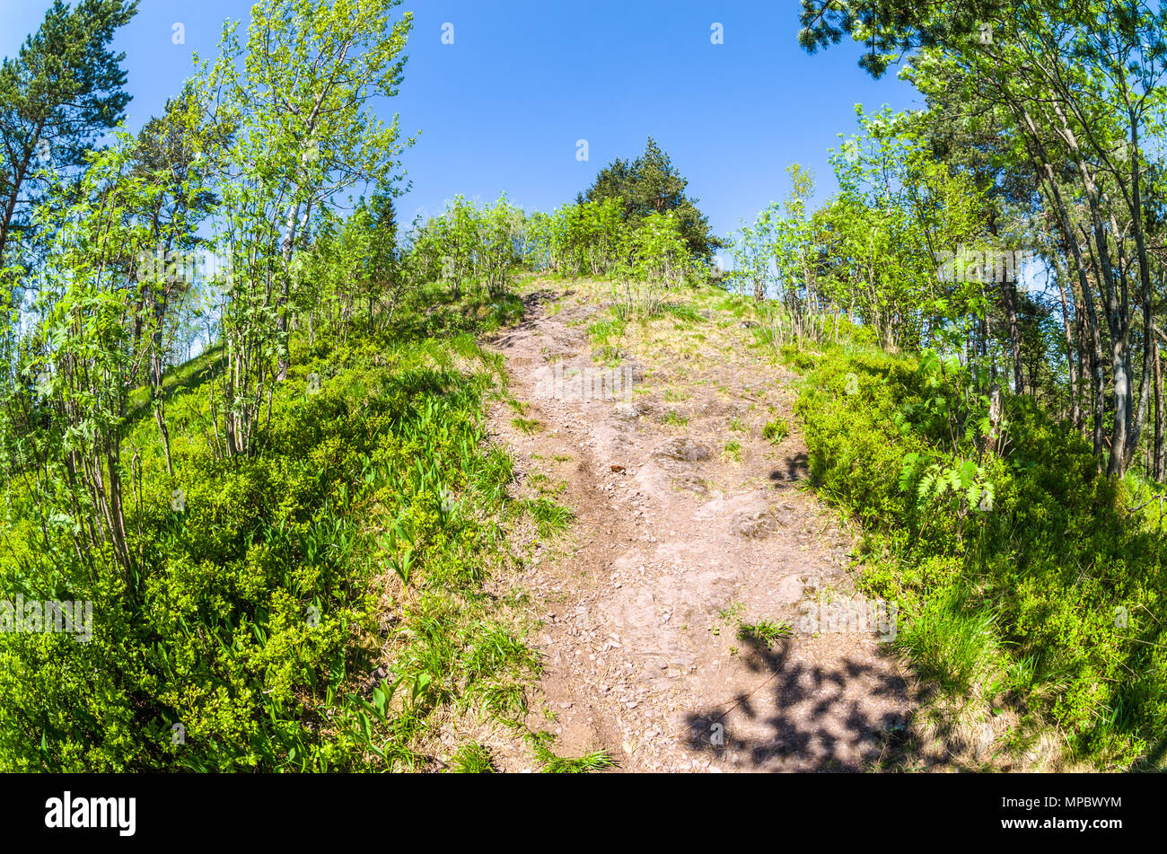 Itinéraires de randonnée en Lillomarka près d'Oslo, Norvège, au début du printemps, journée ensoleillée. Banque D'Images