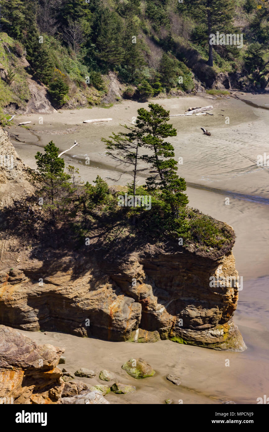 Sur les falaises de la plage des pins Banque D'Images